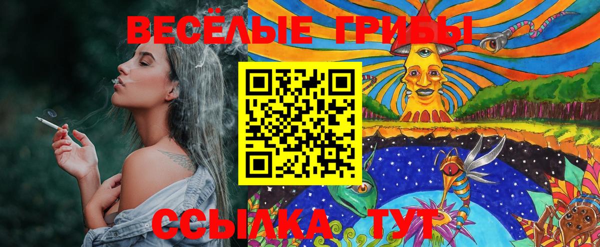Псилоцибиновые грибы Cubensis  Вход с VPN  Ачинск 